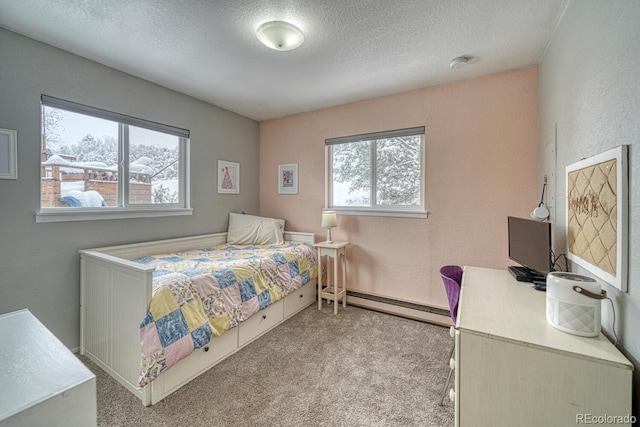 114 Loop Dr, Howard, CO 81233 - bedroom featuring baseboard heating, carpet floors, a textured ceiling, and a textured wall