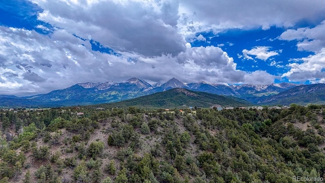 114 Loop Dr, Howard, CO 81233 - view of mountain backdrop featuring a heavily wooded area