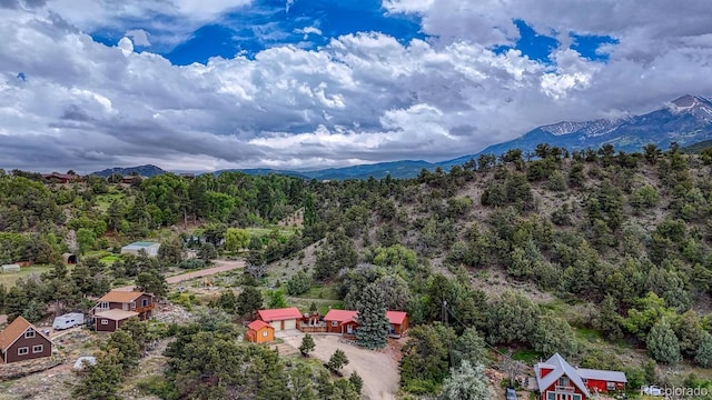 114 Loop Dr, Howard, CO 81233 - drone / aerial view of a mountainous background and a forest