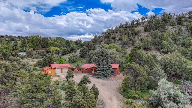 114 Loop Dr, Howard, CO 81233 - view of subject property featuring a forest