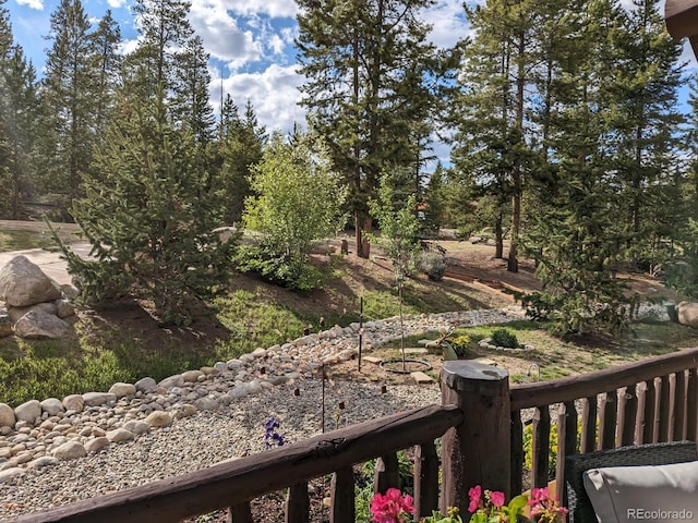 114 Gcr 4624, Grand Lake, CO 80447 - view of yard
