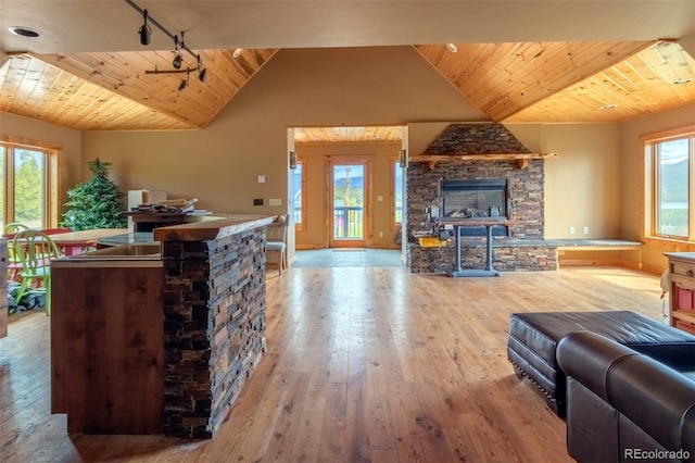 114 Gcr 4624, Grand Lake, CO 80447 - living area featuring wood ceiling, a stone fireplace, hardwood / wood-style flooring, vaulted ceiling, and track lighting