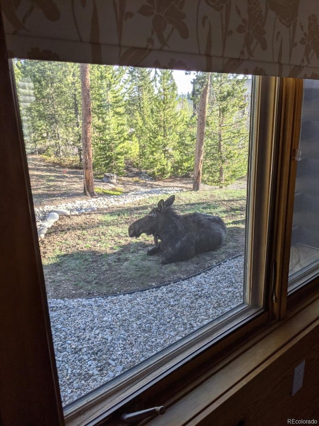 114 Gcr 4624, Grand Lake, CO 80447 - detailed view