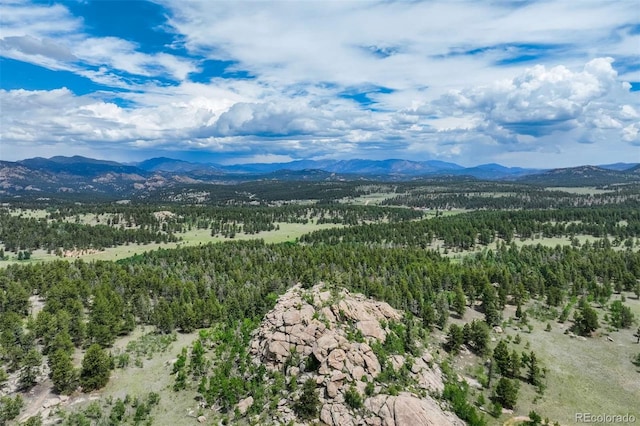 3052 Homestake Pl, Florissant, CO 80816 - photo 1