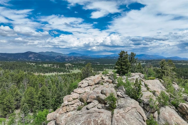 3052 Homestake Pl, Florissant, CO 80816 - photo 2