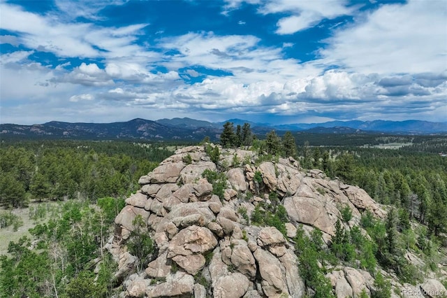 3052 Homestake Pl, Florissant, CO 80816 - photo 3