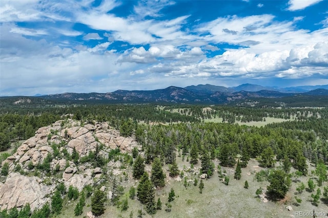 3052 Homestake Pl, Florissant, CO 80816 - photo 4