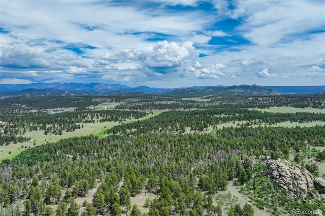 3052 Homestake Pl, Florissant, CO 80816 - photo 5