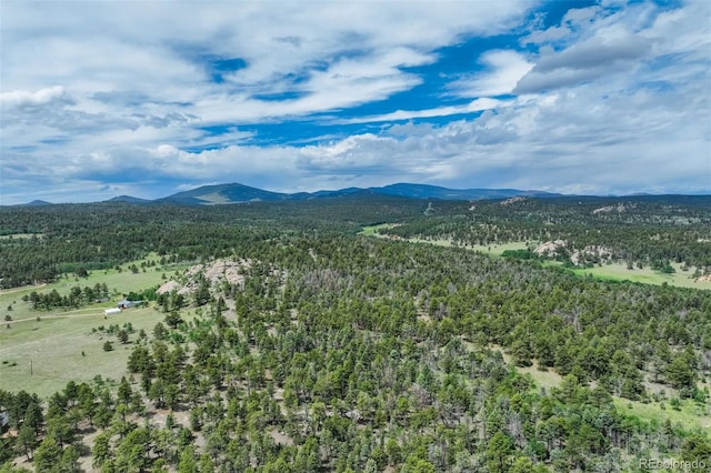 3052 Homestake Pl, Florissant, CO 80816 - photo 6