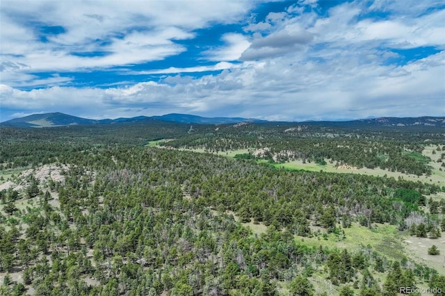 3052 Homestake Pl, Florissant, CO 80816 - photo 7