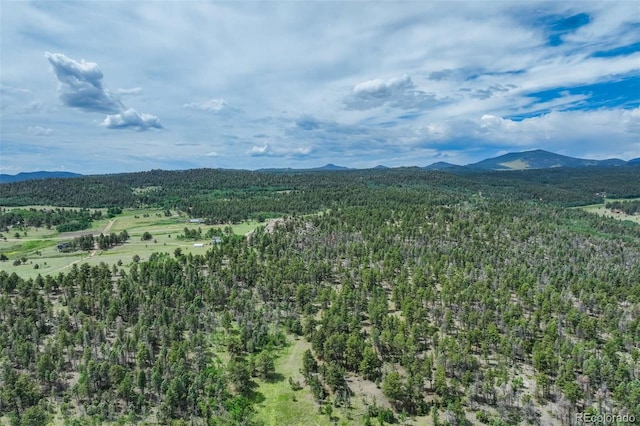 3052 Homestake Pl, Florissant, CO 80816 - photo 8