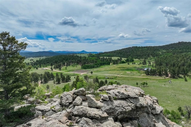 3052 Homestake Pl, Florissant, CO 80816 - photo 9