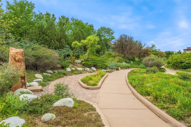 804 Rockhurst Dr Unit A, Highlands Ranch, CO 80129 - photo 31