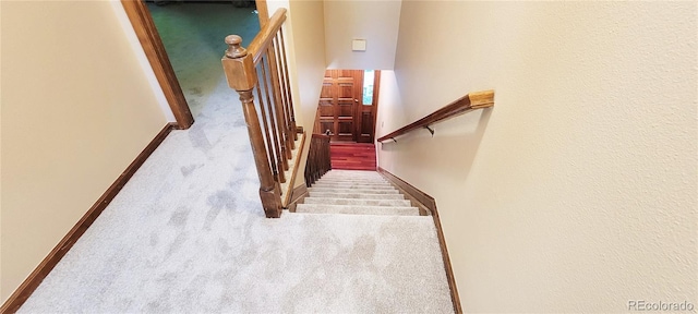 staircase featuring carpet flooring