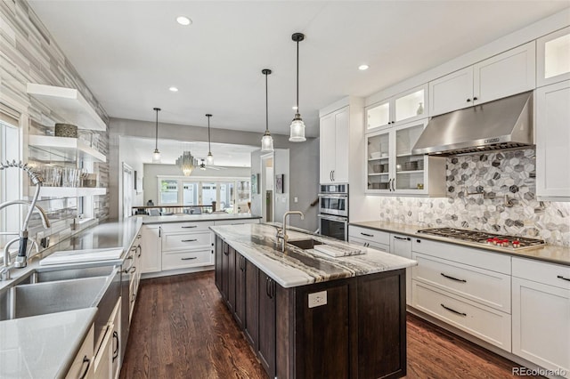 kitchen featuring decorative backsplash, appliances with stainless steel finishes, glass insert cabinets, under cabinet range hood, and dark wood-type flooring