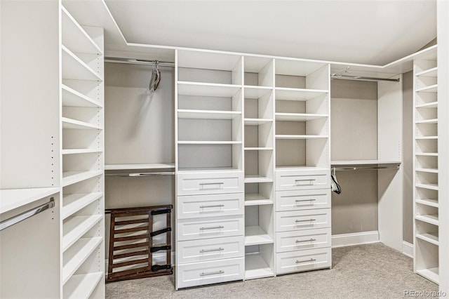 walk in closet with light carpet