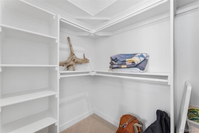 1232 N Yates St Unit 3, Denver, CO 80204 - walk in closet with carpet floors