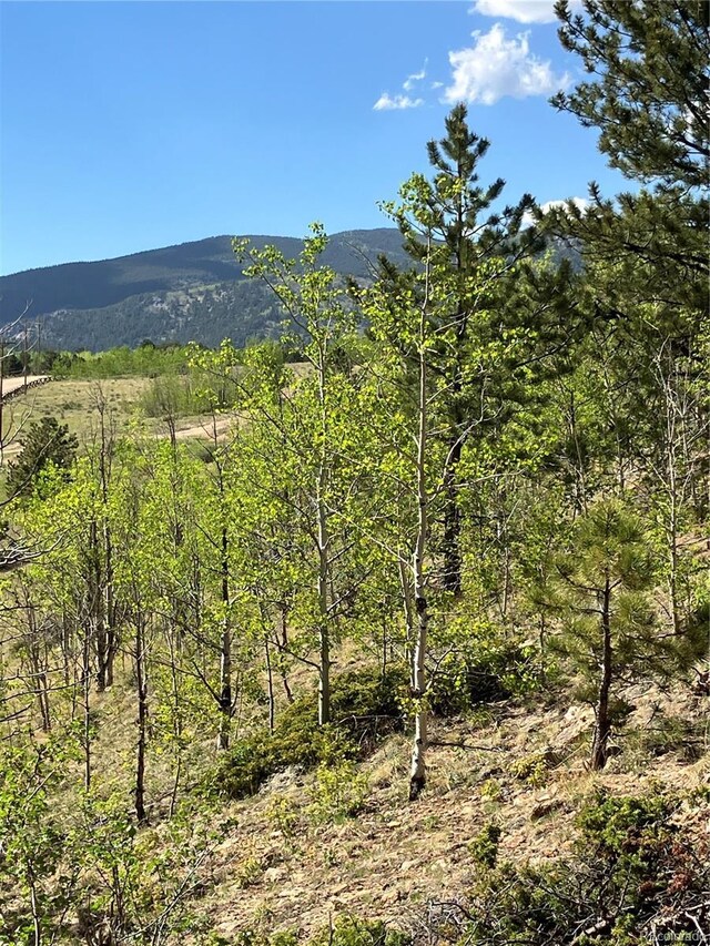 801 Eureka St, Central City, CO 80427