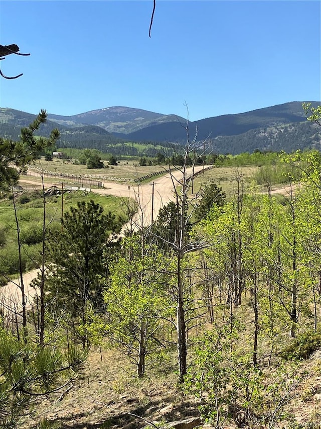 801 Eureka St, Central City, CO 80427