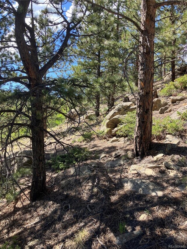 801 Eureka St, Central City, CO 80427