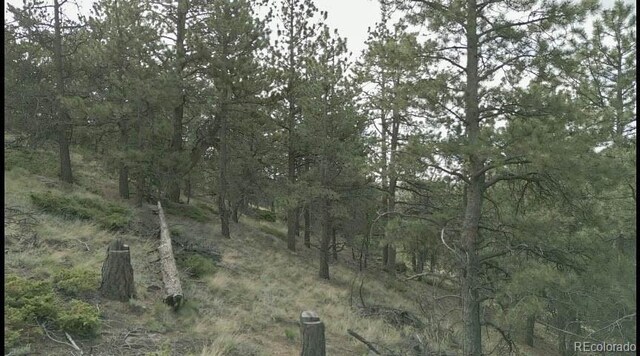 801 Eureka St, Central City, CO 80427