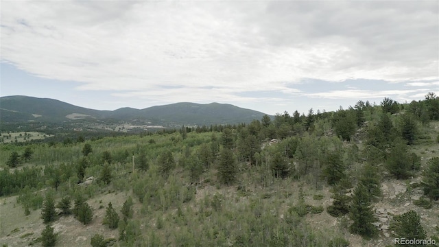 801 Eureka St, Central City, CO 80427