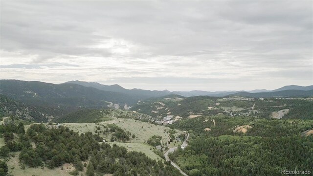 801 Eureka St, Central City, CO 80427