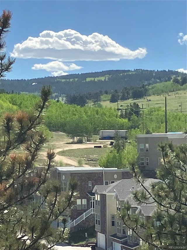 801 Eureka St, Central City, CO 80427