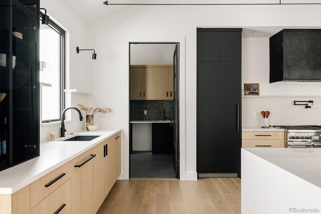 kitchen with backsplash, light hardwood / wood-style floors, sink, and light brown cabinets