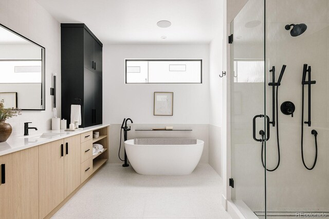 bathroom featuring vanity and separate shower and tub