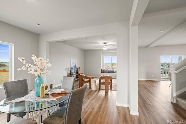 dining space featuring wood-type flooring and ceiling fan