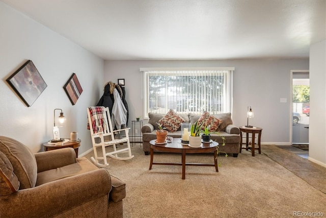 living room with carpet floors