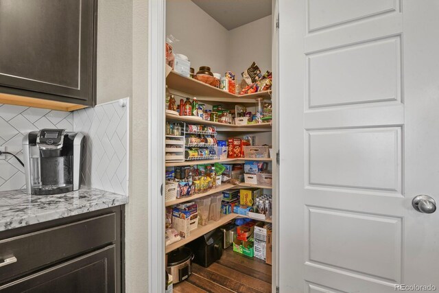 2549 Loon Cir, Castle Rock, CO 80104 - photo 16