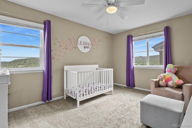 2549 Loon Cir, Castle Rock, CO 80104 - photo 29