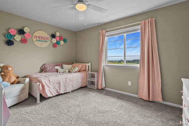 2549 Loon Cir, Castle Rock, CO 80104 - photo 34