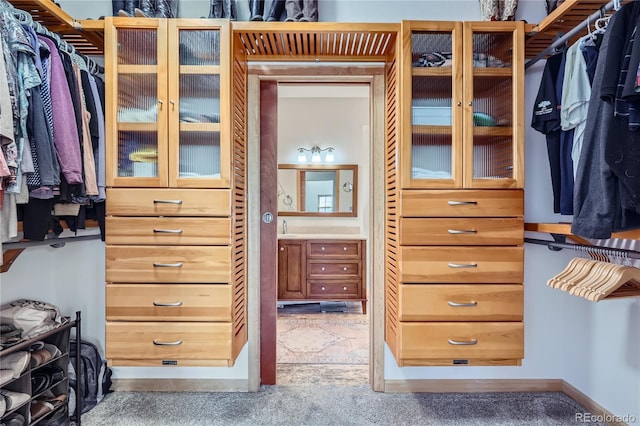 903 High Rd, Manitou Springs, CO 80829 - view of walk in closet