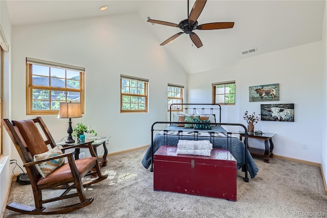 903 High Rd, Manitou Springs, CO 80829 - bedroom featuring high vaulted ceiling and carpet
