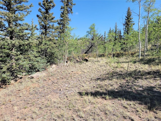 172 Ambush Ln, Jefferson, CO 80456 - photo 16