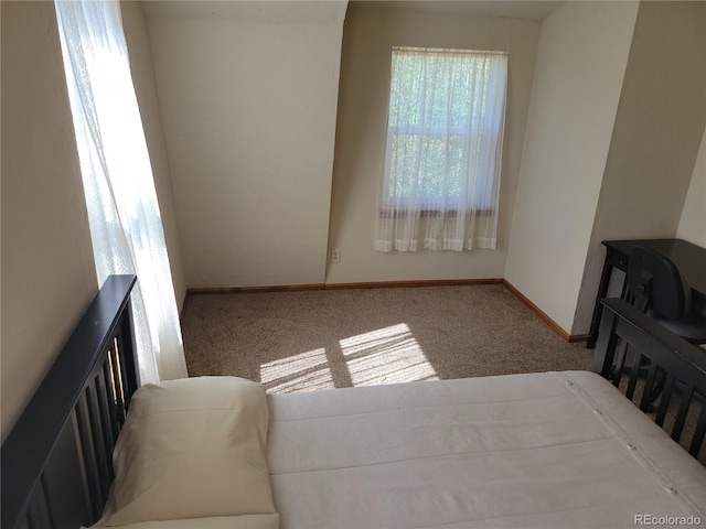 172 Ambush Ln, Jefferson, CO 80456 - photo 19