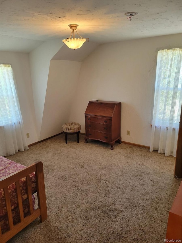 172 Ambush Ln, Jefferson, CO 80456 - photo 20