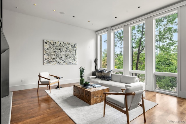 living room featuring expansive windows and hardwood / wood-style floors