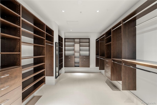 view of walk in closet