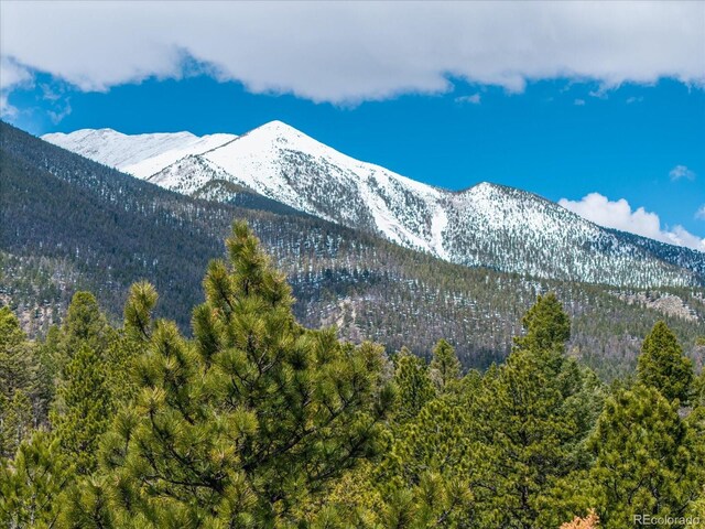 24900 County Road 339, Buena Vista, CO 81211