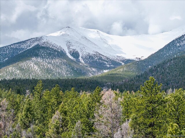 24900 County Road 339, Buena Vista, CO 81211