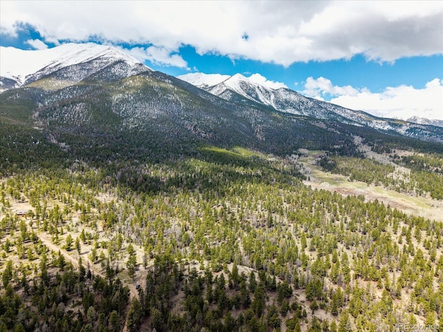 24900 County Road 339, Buena Vista, CO 81211