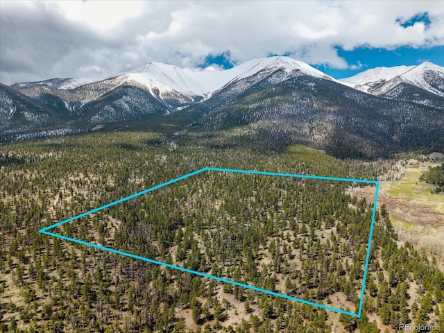 24900 County Road 339, Buena Vista, CO 81211