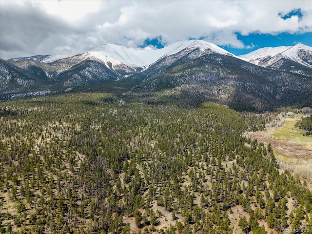 24900 County Road 339, Buena Vista, CO 81211