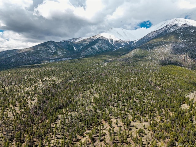 24900 County Road 339, Buena Vista, CO 81211