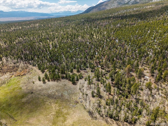 24900 County Road 339, Buena Vista, CO 81211