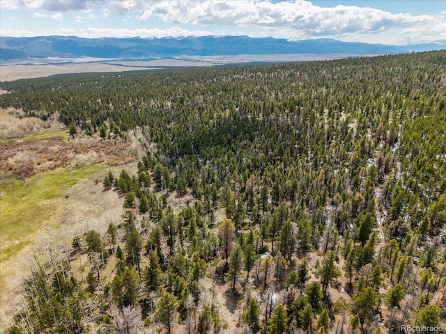 24900 County Road 339, Buena Vista, CO 81211